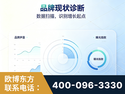 青铜峡-品牌现状诊断
