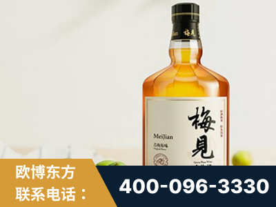 青铜峡-梅见青梅酒